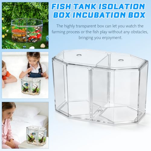 Milisten Octagon Betta Fish Tank, Clear Acrylic Desktop Aquarium with Removable Divider, 2 Compartment Breeding Isolation Box for Small Tropical Guppy Fry