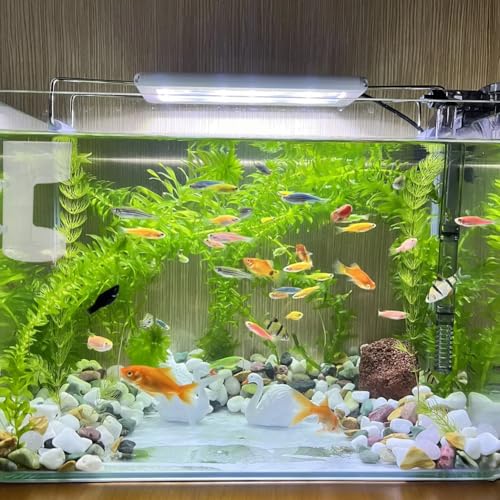 2 Pack PS Plastic Fish Feeders, Tank Feeding Tray with Suction Cup, Artemia Clear Floating Fish Tank Dish Tray, Tank Divider Supplies