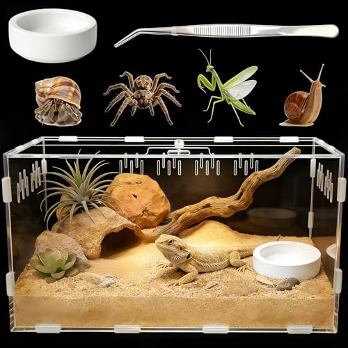 Acrylic Reptile Terrarium, Tarantula Enclosure with Magnetic Door, Easy-Clean Reptile Tank for Spider, Insect, Gecko, Mantis, Frog, Snail, Isopods- 11.4" X 7.8" X 5.9"(Tweezer and Bowl Included) - size: Basic Horizontal - Kit