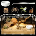 Acrylic Reptile Terrarium, Tarantula Enclosure with Magnetic Door, Easy-Clean Reptile Tank for Spider, Insect, Gecko, Mantis, Frog, Snail, Isopods- 11.4" X 7.8" X 5.9"(Tweezer and Bowl Included) - size: Basic Horizontal - Kit
