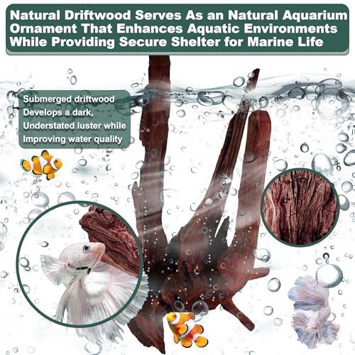 Natural Wood Driftwood for Aquarium Fish Tank Decor,Assorted Driftwood Trunk Branch for Reptile Tank Decor (MOP-ZYM Driftwood Medium (8 to12 Inch)-Pack of 1) - color: MOP-ZYM Driftwood Medium (8 to12 Inch)-Pack of 1