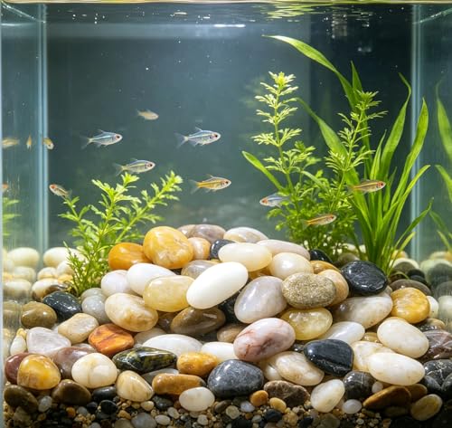SIDONG 5 LB Mixed River Rocks, 0.3-0.5 Inches High Polished Pebbles for Indoor Plants, Aquarium Rocks Used in Fish Tank, Decorative Stones for Plants, Vases, Home Décor, Crafting, Garden Landscaping - color: Mixed, size: 5 Pounds