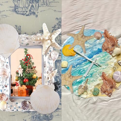 8PCS Large Starfish & Seashells for Crafts – Mixed Hawaiian Scallop Shells, Sea Conch & Starfish, Beach Theme Party Decor Fish Tank Ornaments Painting DIY Wedding Home Decor