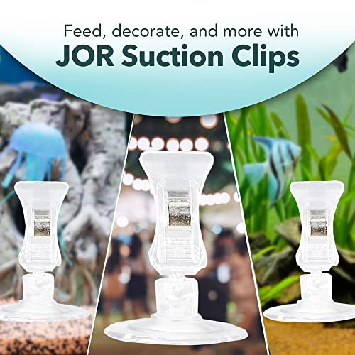 4 Pack Fishes Veggie Kelp Plant Suction Cup Clips for Aquariums, 2” x 1”, Feeding Tool, Aquarium Accessory for Fish Tank, Round Feed Holder Clamp, Automatic Fish Feeder, Includes Plastic Spring