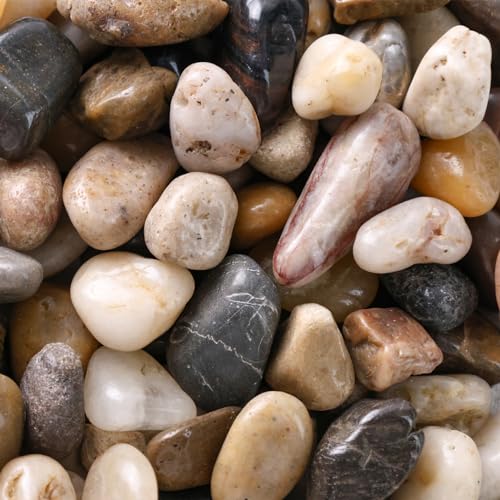 DomeStar River Rocks, Fish Tank Gravel, Pebbles for Plants Decorative Stones for Potted, Vase Filler, Home Decor, Fish Tank, Garden Landscaping, Flower Beds (1 Pound)