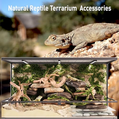 Kaiyuan Dynasty 3Pcs 8-10" Natural Aquarium Spiderwood for Reptile Terrariums Spider Wood Branch for Aquatic Plants Fish Tank Decorations - size: Spiderwood 8 to 10 Inch(Pack of 3)