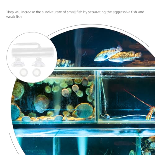 1 Set Fish Tank Incubator Glass Containers Fishing Tumbler Glass Aquarium Shrimp Breeding Box Fish Container Transparent High Borosilicate Glass Crystal Shrimp Fish Eggs