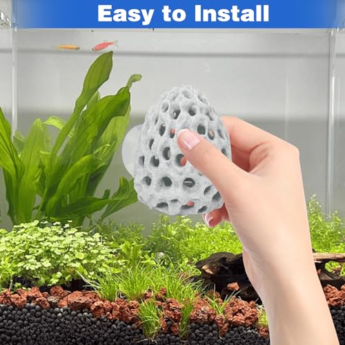 Shrimp Dome Hide Betta Habitat Fish Tank Tunnel with Suction Cup Aquarium Fish Cave Hideout Ornament Accessories for Shrimp Guppy Hiding Resting White - color: 2pcs-white