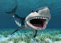 7x5ft White Shark Backdrop Underwater Backdrop 3D Shark Photography Backdrop Under The Sea Ocean Cartoon Backdrop for Boys Kids Happy Birthday Party Decor Photo Shoot Studio Props Fabric - size: 7x5FT
