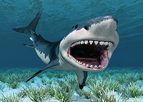 8x6ft White Shark Backdrop Underwater Backdrop 3D Shark Photography Backdrop Under The Sea Ocean Cartoon Backdrop for Boys Kids Happy Birthday Party Decor Photo Shoot Studio Props Fabric - size: 8x6FT