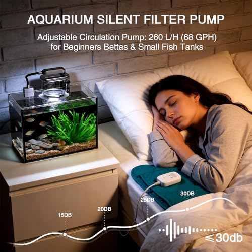 2 Gallon Betta Fish Tank, Small Aquarium Kit,Glass Small Fish Tank,Betta Fish Tank with a lid and Light and Filter, Small Transparent Glass Fish Tank with Light and Filter (Black Glass Background) - size: 2 Gallon