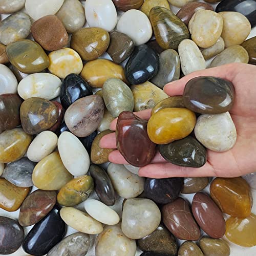 FANTIAN 10 lbs Stones for Plants, 1-2 inch Polished Pebbles for Indoor Plants, Decorative River Rocks for Plants Vase Aquarium and Outdoor Garden Landscaping Rocks - size: 1-2 Inch, style: 10 Pounds