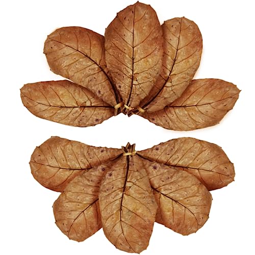 SunGrow Catappa Indian Almond Leaves, 7-8 Inches,10 Catappa Leaves for Betta Fish, Aquarium Water Conditioner, Tank Decoration, Freshwater Tank Accessories, Betta Fish Care, Aquatic Leaf Litter