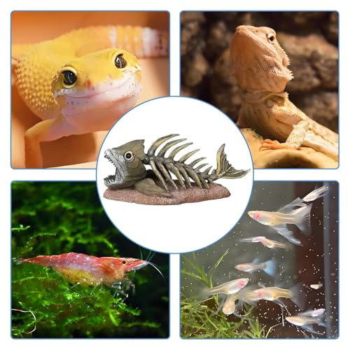 kathson Fish Tank Decorations Resin Piranha Skeleton Aquarium Decor Reptile Tank Accessories Ornament Fish Bone Hideout for Shrimp Lizards Geckos Spiders - style: Piranha Skeleton