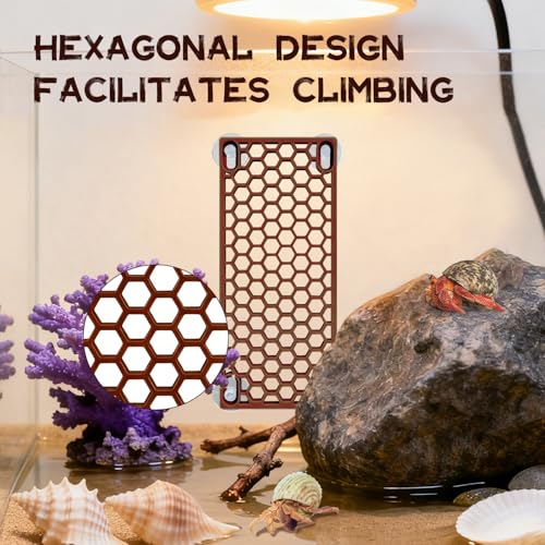 Hermit Crab Ladder Toy - Climbing Accessories for Reptiles, Lizards, Chameleons, Crab Habitat & Fish Tank Decoration Supplies (Brown) - color: brown