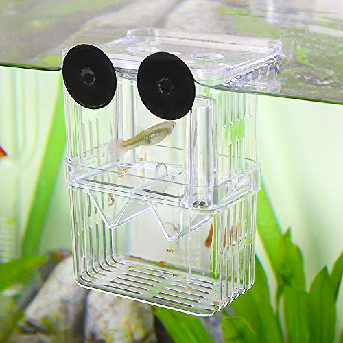 Senzeal Aquarium Fish Breeder Box Plastic Fish Isolation Breeding Box Hatching Incubator Box for Baby Fishes Shrimp Clownfish Guppy - size: Medium