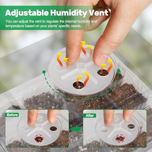 Bonviee 10 Packs Seed Starter Tray with Elevated Lid, 120 Cells Thicken Seed Starting Trays Kit with Adjustable Humidity Vent, Clear Cell Tray and Heightened Lids for Greenhouse & Gardens, Clear - color: Clear, size: 10 Packs, NO light