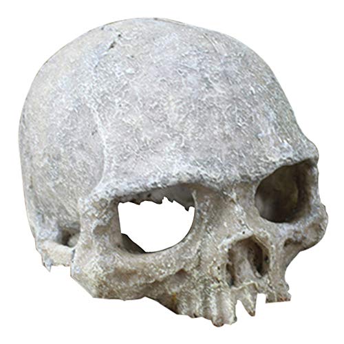 Hewnda Aquarium Decor Resin Artificial Head Skeleton Decoration - Aquarium Otaru Aquarium Decorative Cave Landscape Pet Reptile House