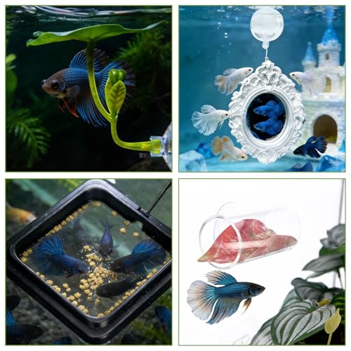 7PCS Betta Hammock & Fish Toys Set, Fish Tank Decor & Accessories for Resting Hiding Aquarium with Training Mirror and Feeding Ring