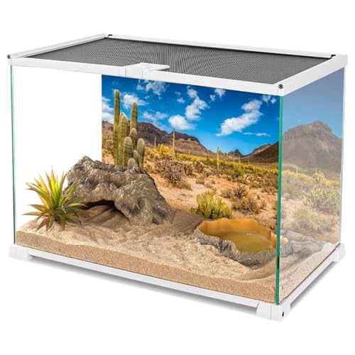 AWERT 24x16 inches Reptile Habitat Background Blue Sky Oasis Cactus Desert Terrarium Background Vinyl - size: 24x16in/60x40cm