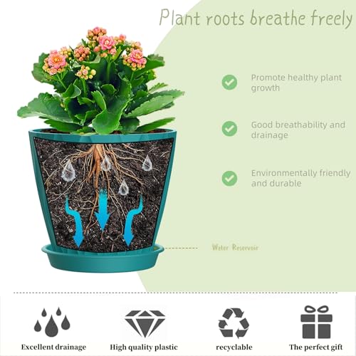 6 Inch Plant Pots, 6 Pack Indoor Flower Pots, Planters with Drainage Holes and Trays for Orchids, Violets, Succulents, Herbs, and Other Plants,Blue-Green - color: Blue-green, size: 6inch