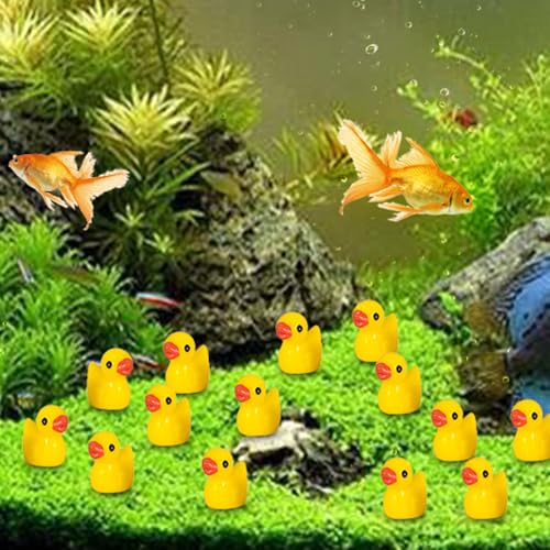 Arcimatto 240 Pack Mini Ducks Tiny Resin Duck Bulk, Decor Duck Figures for Miniature Dollhouse Decor Garden Aquarium Potted Ornament, DIY Charm Crafts Hide and Seek Prank Party Favor Toys Gag Gifts - style: Yellow Ducks