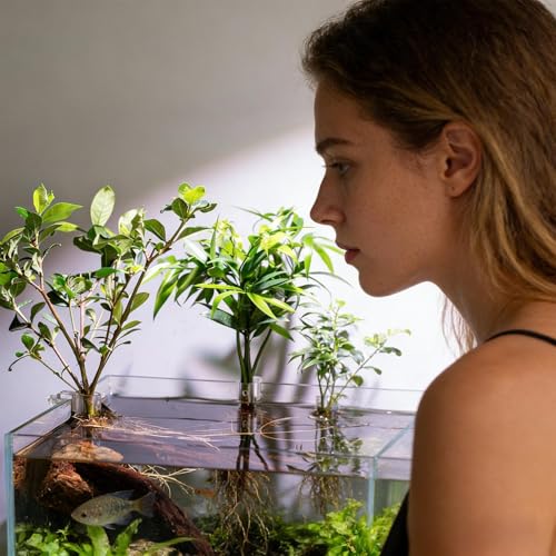 Plant Holder for Fish Tank – 6-Piece Clear Set | Hangable Aquarium Plant Cups with Clear Brackets for Fish Tan, Ideal Growth, Cultivation, and Home Aquarium Ecosystem Organization - size: Small