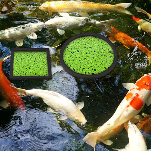 20 Pcs Aquarium Floating Plant Rings Round Square Fish Feeding Rings Different Size Corral Foam Circle for Tank Keep Floating Plants in Place and Out of Filter, 5 Sizes(Black)