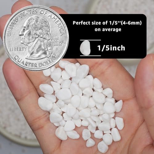 5lbs Natural Gravel Pebbles for Succulents and Cacti, 1/5 Inch Decorative River Stones – Perfect for Vases, Aquariums, Terrariums, and Outdoor Gardening, Mixed Colors (White, 5 Pounds) - color: White, size: 5 Pounds