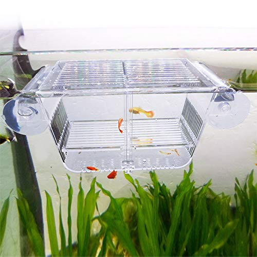 capetsma Fish Breeding Box, Acrylic Fish Isolation Box with Suction Cups, Aquarium Acclimation Hatchery Incubator for Baby Fishes Shrimp Clownfish and Guppy... Small Size (S) - size: S