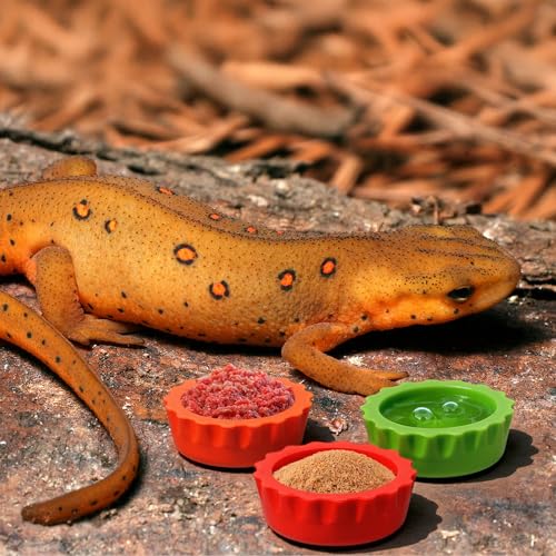 9 Pcs Crested Gecko Food and Water Bowl Small Reptile Food Dish Reusable Silicone Reptile Feeding Cup Gecko Feeder Corner Water Bowl Habitat Tank Starter Accessories for Hermit Crab Tarantula Isopods