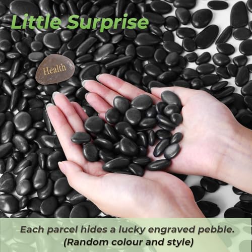 SIDONG 5 LB Black River Rocks, 0.3-0.5 Inches High Polished Pebbles for Indoor Plants, Aquarium Rocks Used in Fish Tank, Decorative Stones for Plants, Vases, Home Décor, Crafting, Garden Landscaping - color: Black, size: 5 Pounds