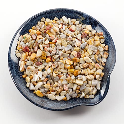 Cherry Tree Collection 1/2 Pound Polished Tumbled Gemstone Chips, Pebbles, Crystal Chips Bulk for Jewelry Making, Healing, Plants, Succulents, Aquariums, Decoration, Chakra (Crazy Lace Agate) - color: Crazy Lace Agate