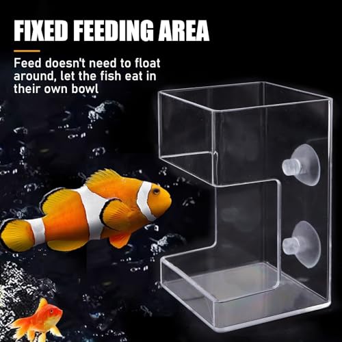 Fish Tank Dish Tray with Suction Cup 3.94x2.36 Inch Feeding Tube Turtle Transparent Fish Food Holder for Turtle Shrimp Betta Feeding (Square) - size: Square