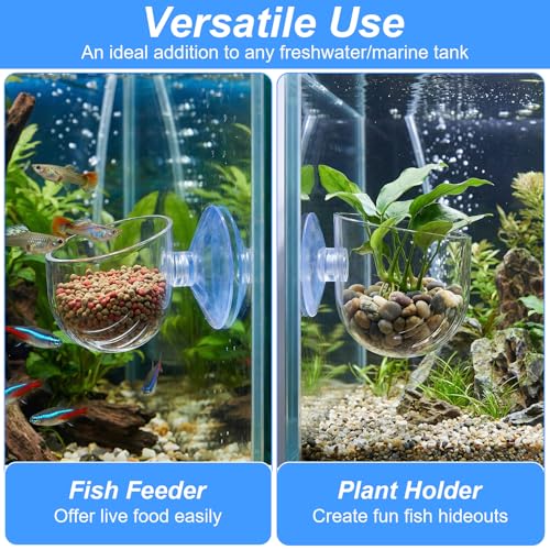2PCS Aquarium Plant Holder, Fish Tank Plant Holder for Aquascape Decoration, Red Worm Fish Feeder, Aquarium Planter Cup with Suction Cup, Clear