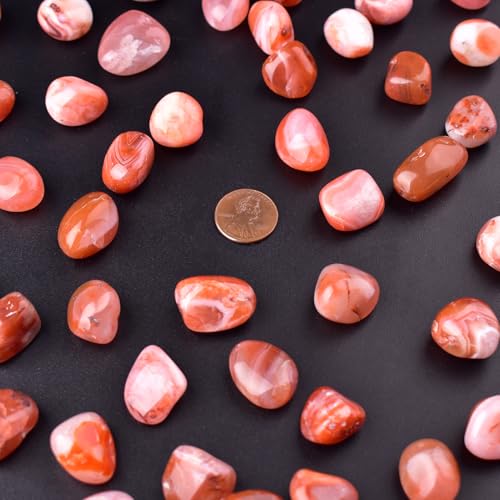 Carnelian Healing Crystal Stone Set - 24 Pieces, 0.6" Natural & Polished Stones for Healing, Meditation, Reiki, Chakra, Crafting & Decoration - color: Carnelian, size: 0.6"