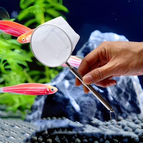 Aquarium Net with Extendable Long Handle, Adjustable Wastes Skimming Cleaning Tools Nylon Fishing Mesh Nets with Long Plastic Handle - color: round, style: S