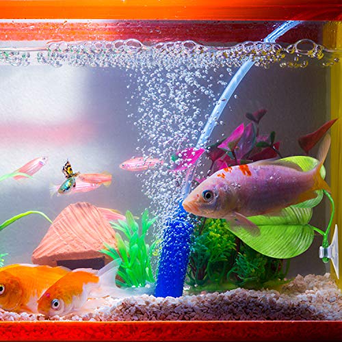 Boao 4 Pieces Betta Fish Tank Accessories Betta Leaf Hammock Pad Simulating The Natural Habitat for Tank Aquarium Spawning Grounds Breeding Resting Bed(Double Leaf) - style: Double Leaf