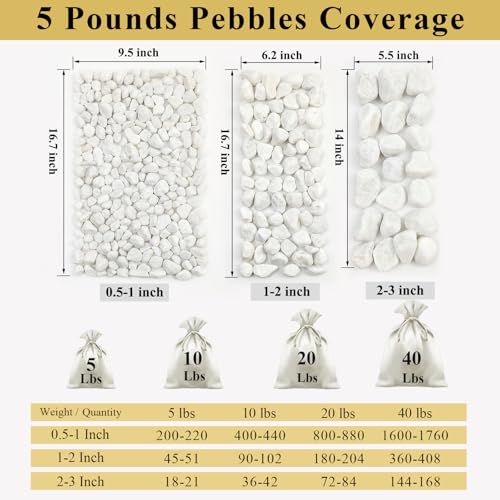 FANTIAN 10 lbs White Gravel for Aquarium, 2-3 Inch Large Pebbles for Planters, Decorative River Rocks for Plants Indoor, Landscaping, Vases, Fish Tank, Crafting and Garden - color: White, size: 10 lbs, 2-3 Inch