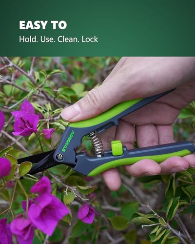 6.5" Pruning Shears for Gardening, Sharp Plant Trimming Scissors for Precise Cuts, Stainless Steel Garden Scissors Bonsai Clippers (2-Pack Curved) - style: 6.5" Curved*2
