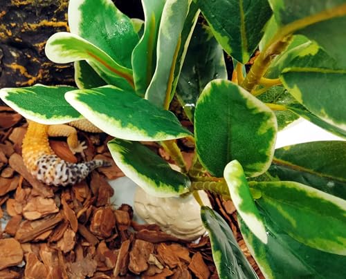 Reptile Plants Terrarium Artificial Leaves Reptile Tank Decorations for Bearded Dragon Lizard Snake Geckos Chameleon Amphibian Habitat Terrarium Decor - color: White and Green
