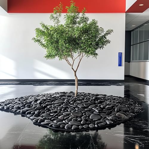 10 lbs Black River Rocks - Large Polished Black Pebbles for Plants & Garden Decorative Stones，2-3" Polished Pebbles for Landscaping, Fish Tanks, Flower Pots, Water Fountains - color: Black, size: Weight: 10 LB