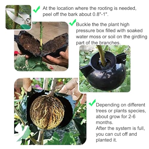 MIIIM 20 PCS Air Layering Propagation Kit with Zip Ties, Reusable Grafting Ball, Clear Air Layering Pods, Rooting Ball for Fast Propagation (Small) - size: Small