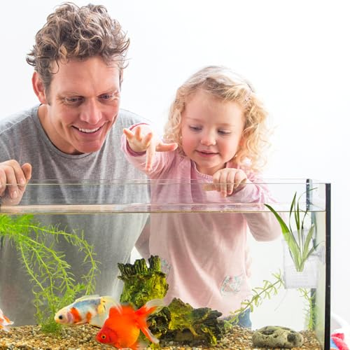 POPETPOP Aquarium Planting Cup 8.07X3.14X2.36In Clear Acrylic Fish Tank Plant Holder with Suction Cup for Aquatic Plant Growth Fish Shelter and Tank D Cor