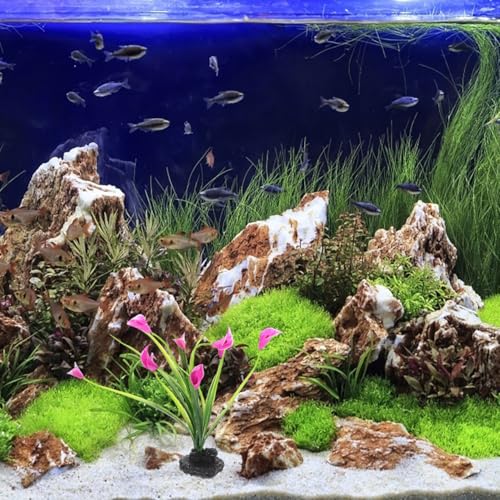 SHINEOFI 2pcs Realistic Fake Aquarium Decor Plants, Plastic Fish Tank Accessories, Compact Desktop Fish Tank Decoration for Household Aquariums