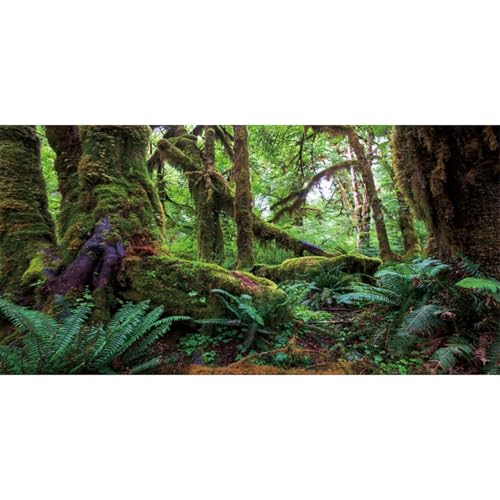 AWERT 48x18 inches Tropical Forest Terrarium Background Green Huge Tree Reptile Habitat Background Rainforest Aquarium Background Durable Polyester Background - size: 48x18in/120x45cm