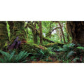 AWERT 72x24 inches Tropical Forest Terrarium Background Green Huge Tree Reptile Habitat Background Rainforest Aquarium Background Durable Polyester Background - size: 72x24in/180x60cm