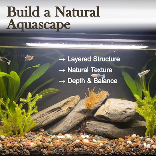 Fish Tank Rocks 10lb Natural Stream Stone 7-8pcs Aquarium Aquascape Stones, Flat Basking Rock, Reptile Slate Rocks & Turtle Tank Decor(2-7 Inches) - size: 10lb(7-8pcs)