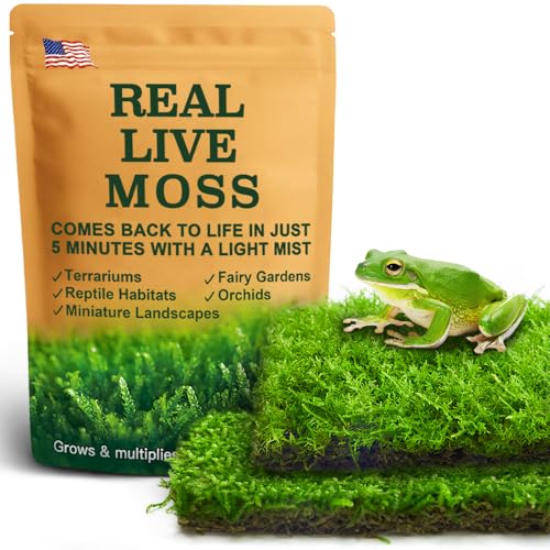 Live Moss Duo Pack 2 Types of Real Live Sheet/Sphagnum Moss for Terrariums, Terrarium Mosses Landscaping, Reptile Tank Accessories, Snake & Gecko Humidity Substrate Mosses for Crafts & Plant Décor