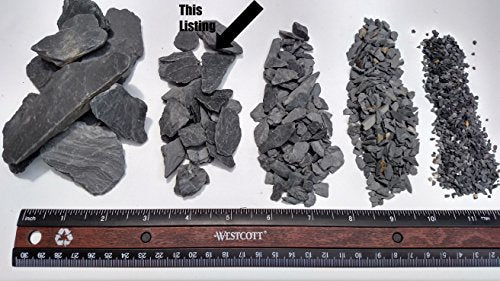 Natural Slate Stone -1/2 to 1 inch. Perfect Size for Miniature or Fairy Gardens, Aquariums, Reptiles, Terrariums, Model Railroads, Dioramas & Wargaming (1lb Grey) - style: 1lb grey